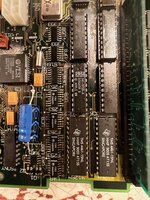 IMG_4555.jpeg