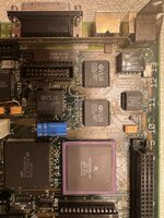 IMG_4556.jpeg