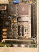 IMG_4557.jpeg