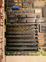 IMG_4558.jpeg