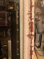 IMG_4559.jpeg