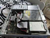 IMG_7547.jpeg