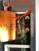 IMG_2555.jpeg IMG_2555.jpeg