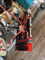 strapped_in.jpg strapped_in.jpg