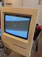 Itsalive.jpg Itsalive.jpg