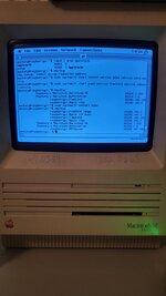 20230820_174225.jpg