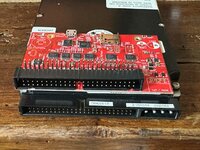 IMG_2187.jpeg