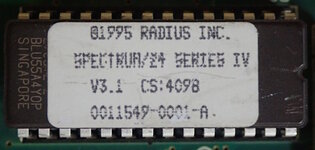 Spectrum-24-IV-v3.1-Label.jpg
