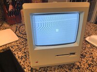 IMG_2488.jpeg