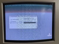 IMG_8488.jpeg IMG_8488.jpeg