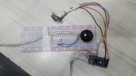 WhatsApp Image 2023-08-29 at 08.43.42.jpeg