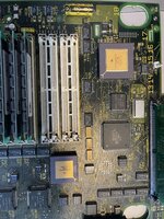 IMG_6669.jpeg