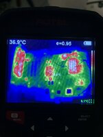 IMG_7497.jpeg