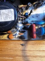 IMG_6850.jpeg