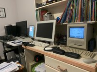 IMG_7576.jpeg