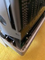 IMG_1335.jpeg