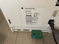 IMG_3548.jpeg