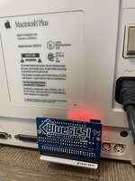 IMG_3550.jpeg