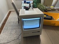 IMG_3551.jpeg