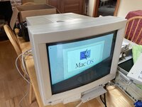 IMG_3689.jpeg