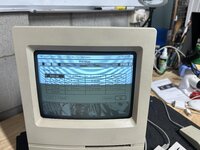 IMG_2369.jpeg