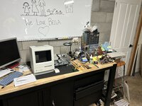 IMG_2405.jpeg