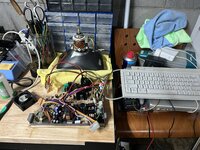 IMG_2406.jpeg