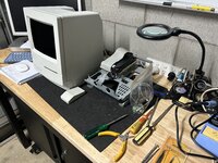IMG_2407.jpeg