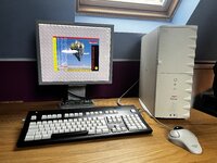 IMG_6883.jpeg