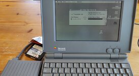 WhatsApp Image 2023-09-29 at 12.42.28.jpeg