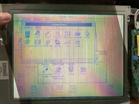 IMG_4451.jpeg