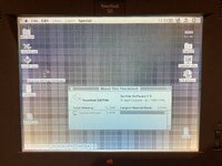 IMG_6031.jpeg