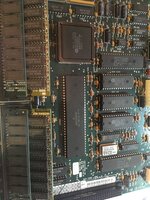 2A42BDEF-0768-44C5-96D4-75473EED87DC.jpeg 2A42BDEF-0768-44C5-96D4-75473EED87DC.jpeg