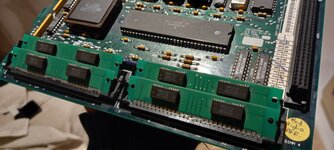 20231011_220010.jpg 20231011_220010.jpg