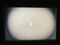 IMG_4204.jpeg