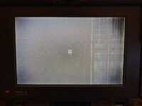 IMG_4229.jpeg