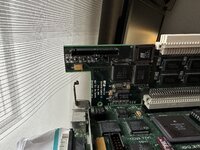 IMG_9685.jpeg
