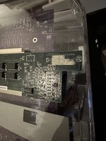 IMG_9704.jpeg