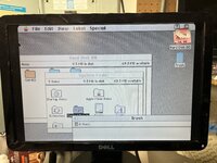 IMG_8261.jpeg