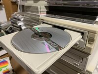 IMG_8884.jpeg