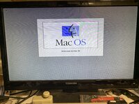 IMG_8887.jpeg