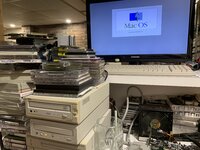 IMG_8888.jpeg