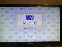 IMG_8889.jpeg