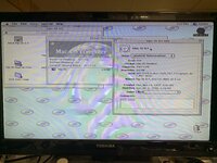 IMG_8892.jpeg