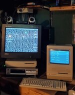 macs.jpg