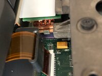 IMG_2439.jpeg