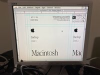 1698962023586.jpeg 1698962023586.jpeg