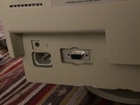 IMG_4403.jpeg