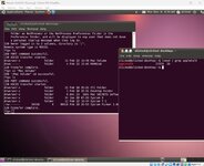 ubuntu10.4.4-1.jpg