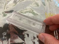 IMG_0084.jpeg